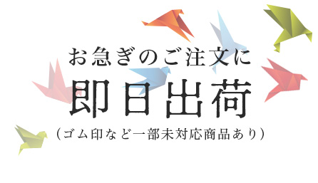 12時注文まで即日出荷可能。お急ぎ注文は希望日をお知らせ下さい
